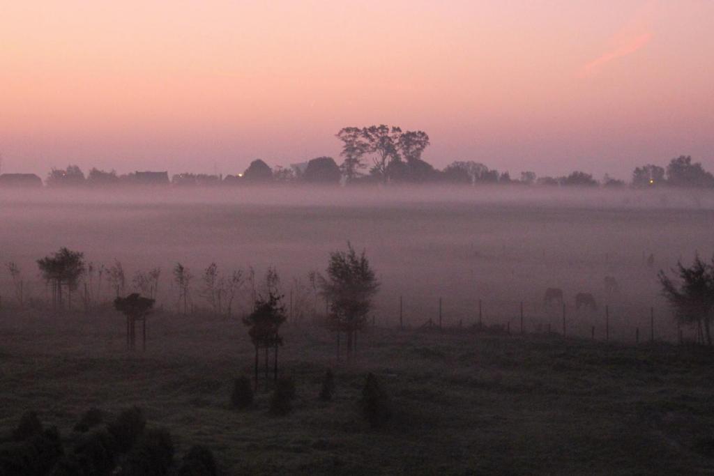B&B Amuse-Couche photo 1