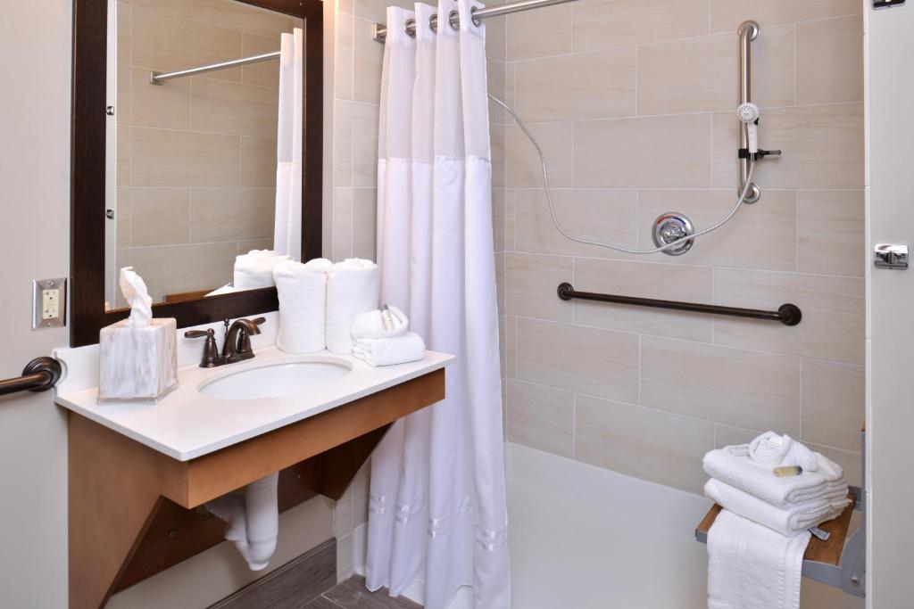 Appomattox Inn and Suites photo 4