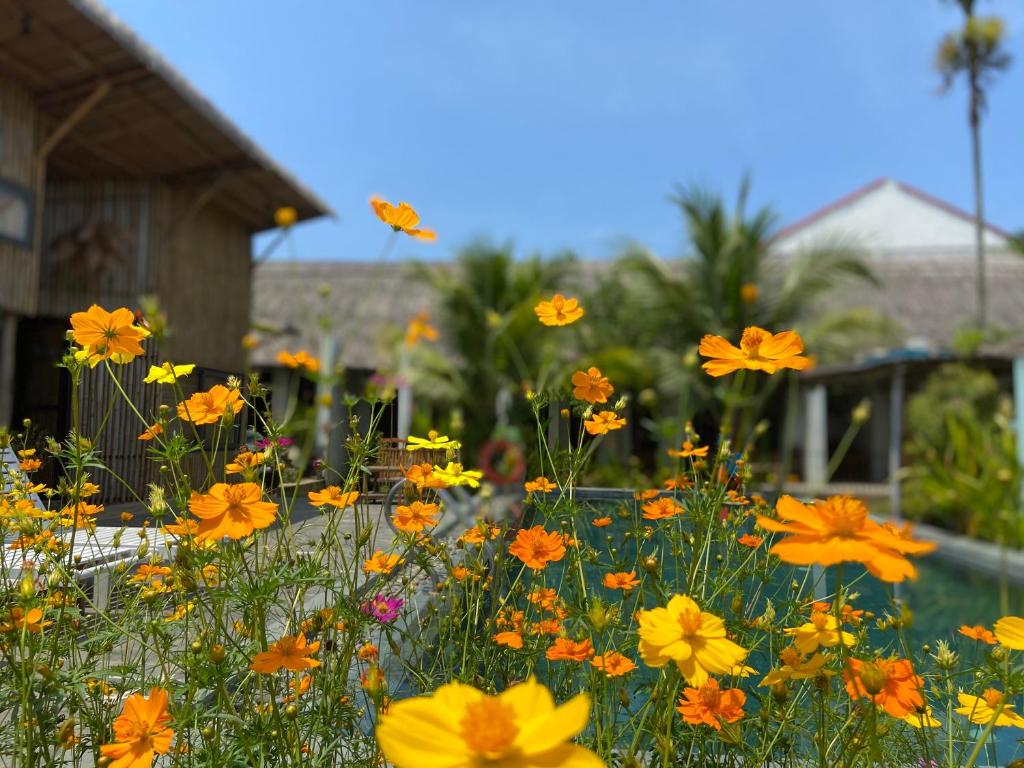 Home Farm Villa Hoi An