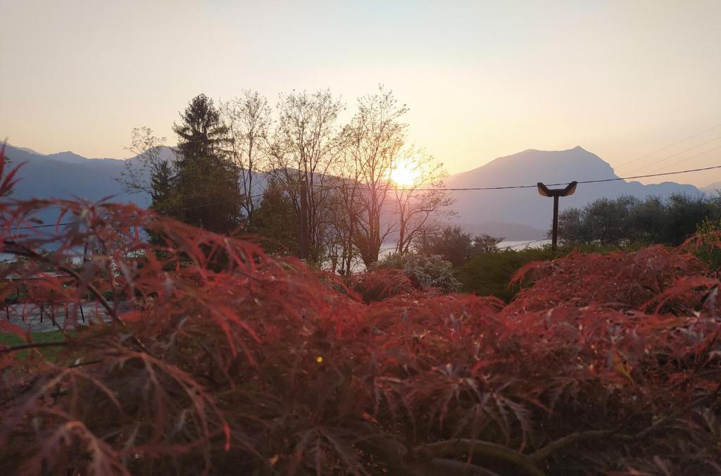 Il Bogno B&B photo 3