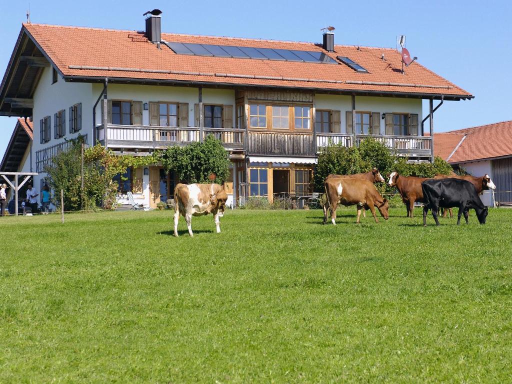 Seeleitenhof photo 1