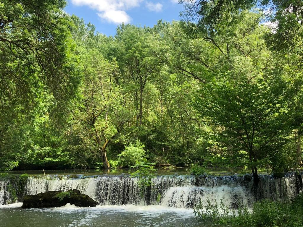 Moulin de la Chevriere photo 4