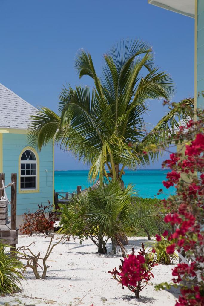 Paradise Bay Bahamas photo 1