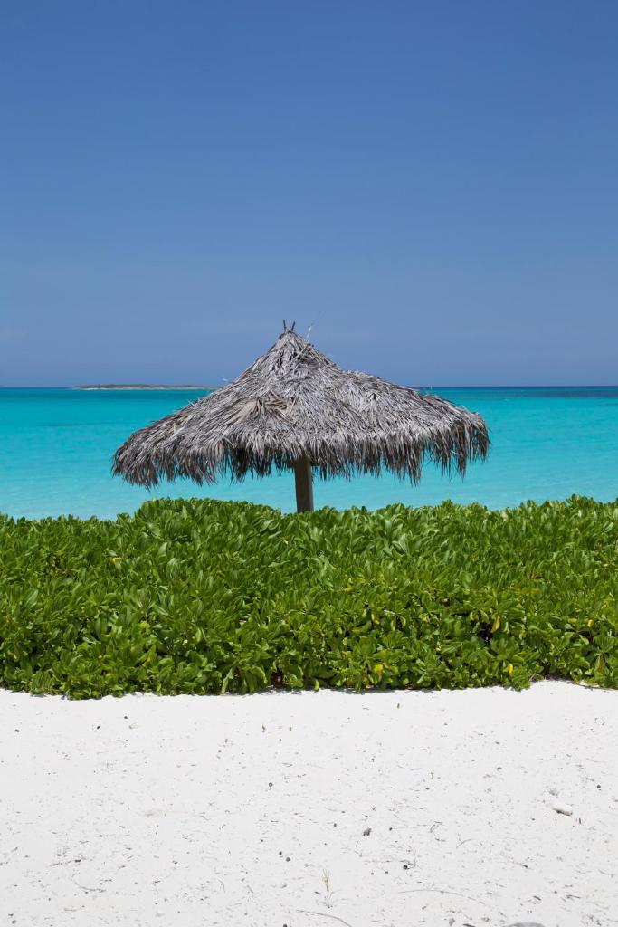 Paradise Bay Bahamas photo 4