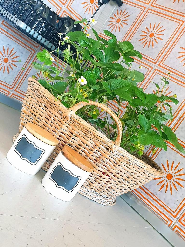 Casa vista Saint Vincent accanto alle Terme photo 4