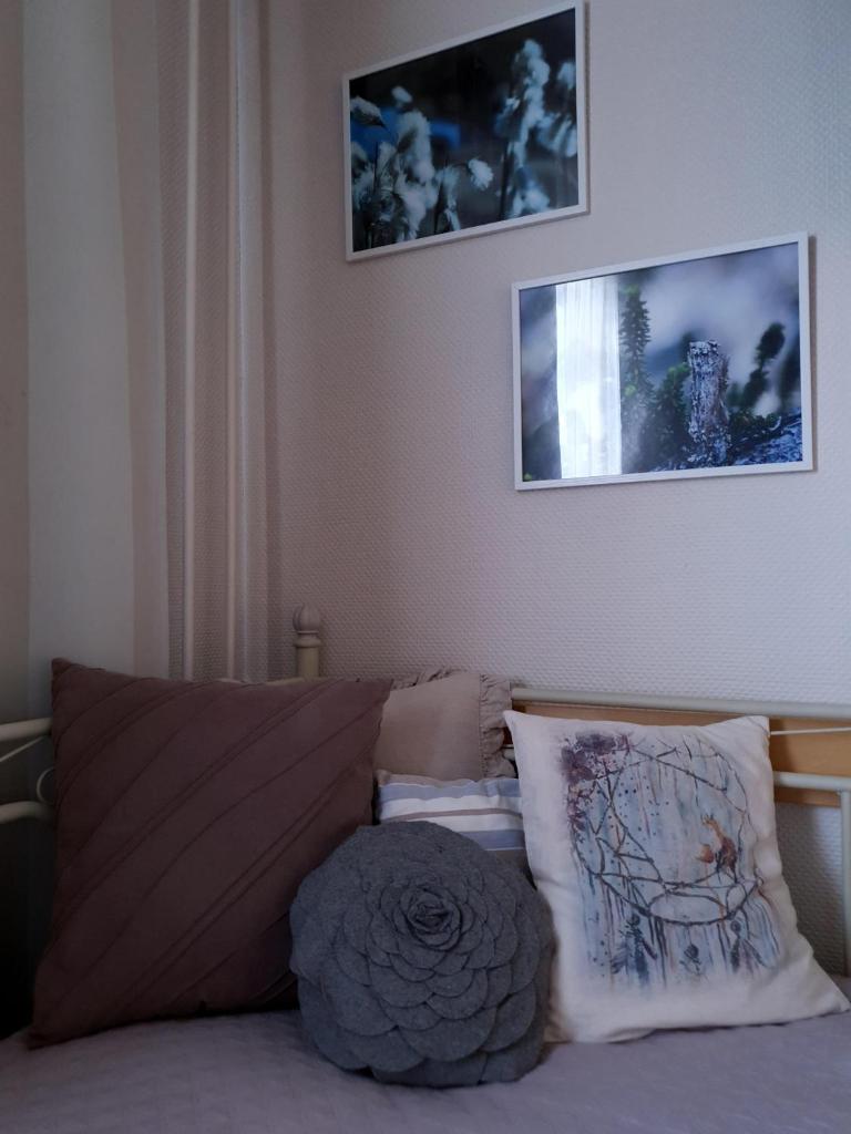 Majoitus Hermanni photo 4