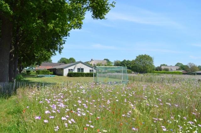 Residentie De Hoek photo 1