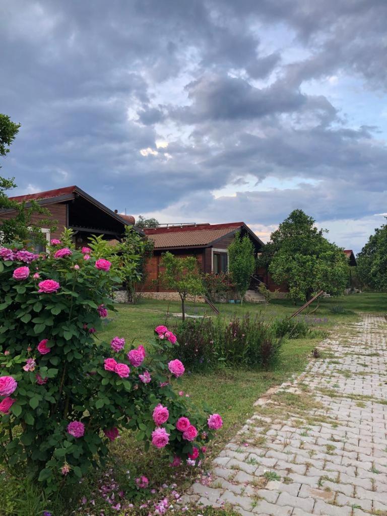 Villa Bilge photo 1