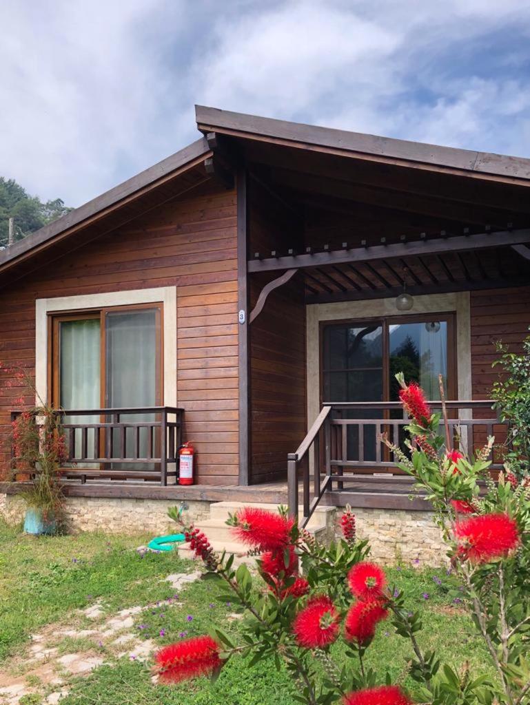 Villa Bilge photo 2