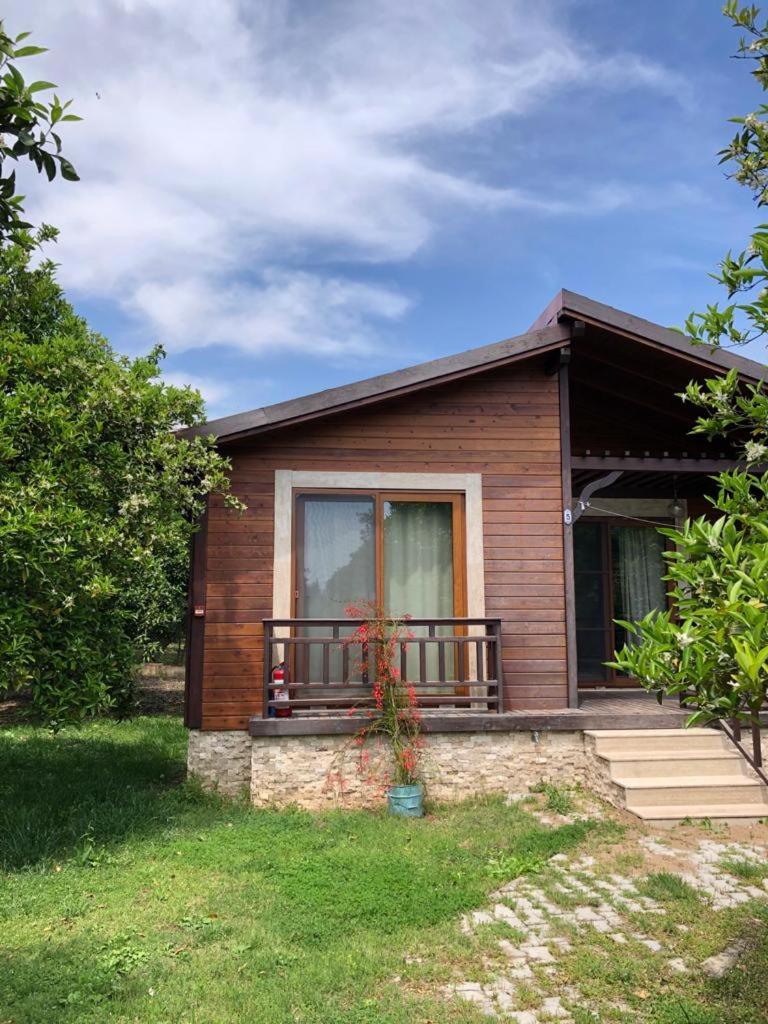 Villa Bilge photo 3
