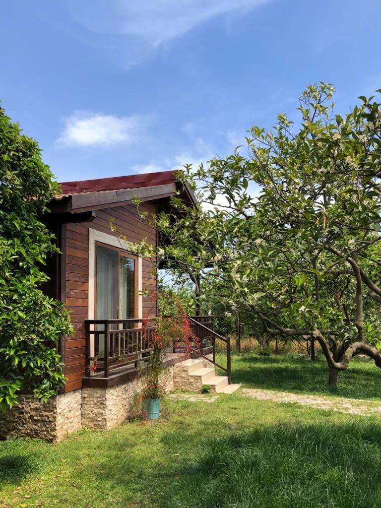 Villa Bilge photo 4