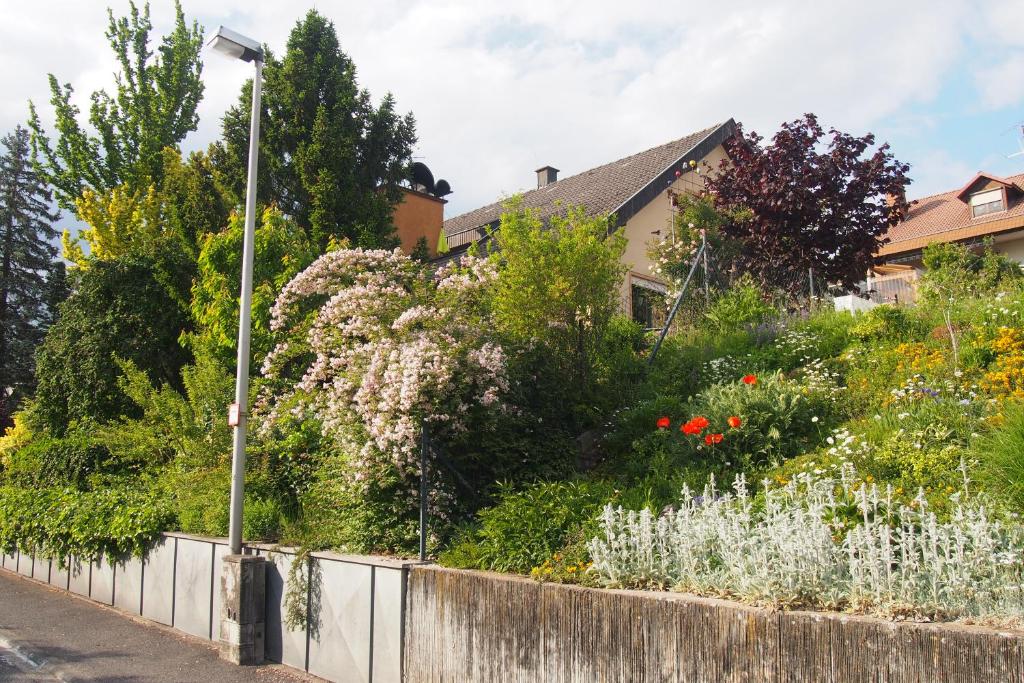 Haus Sonneneck photo 3