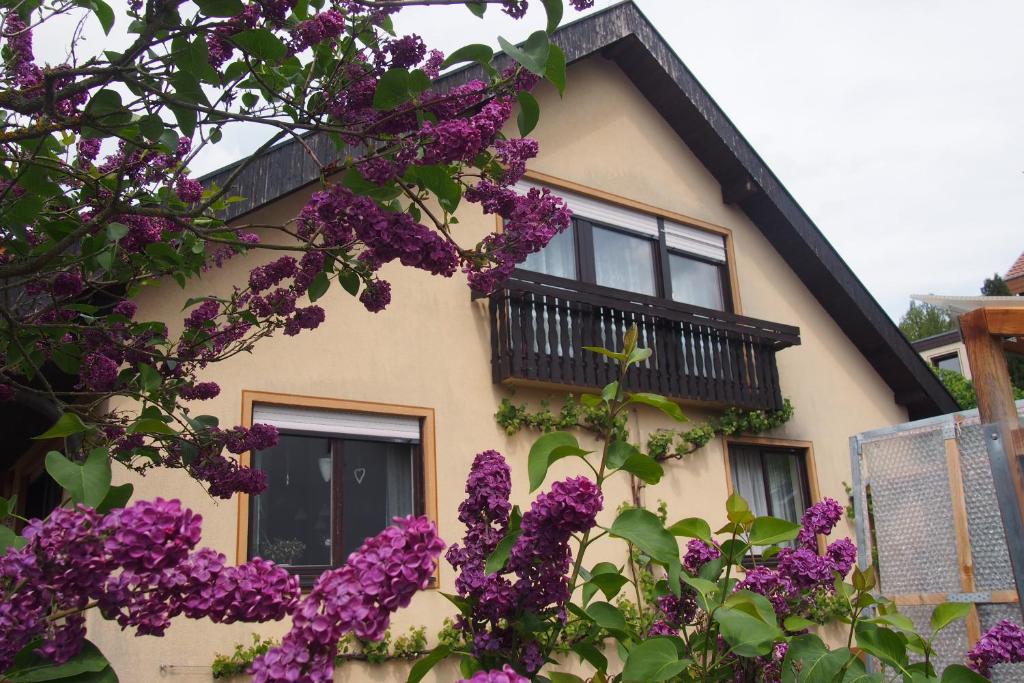 Haus Sonneneck photo 4