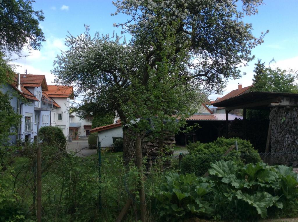 Ferienwohnung Christiane - nagelneue, moderne Ferienwohnung mit Blick ins Grüne photo 1
