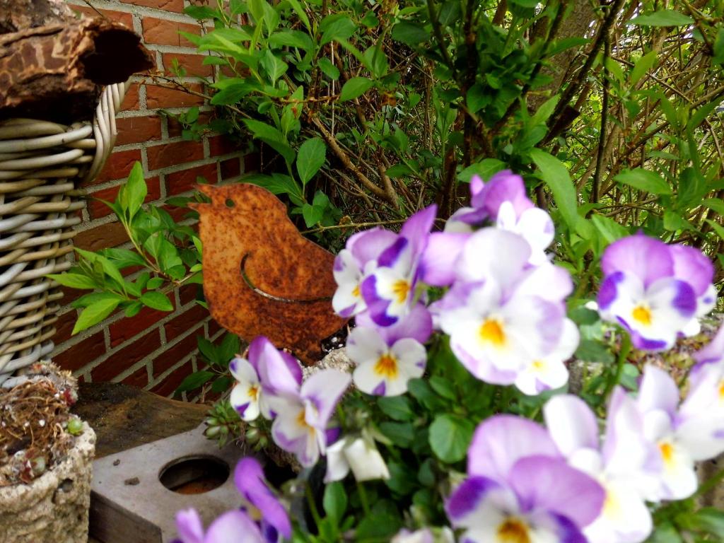 Ferienwohnung Fleur de Lys Urlaub auf Anfrage mit Hund photo 3