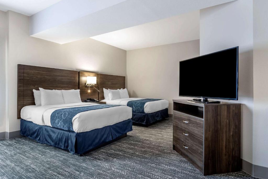 Comfort Suites McDonough Atlanta South photo 4