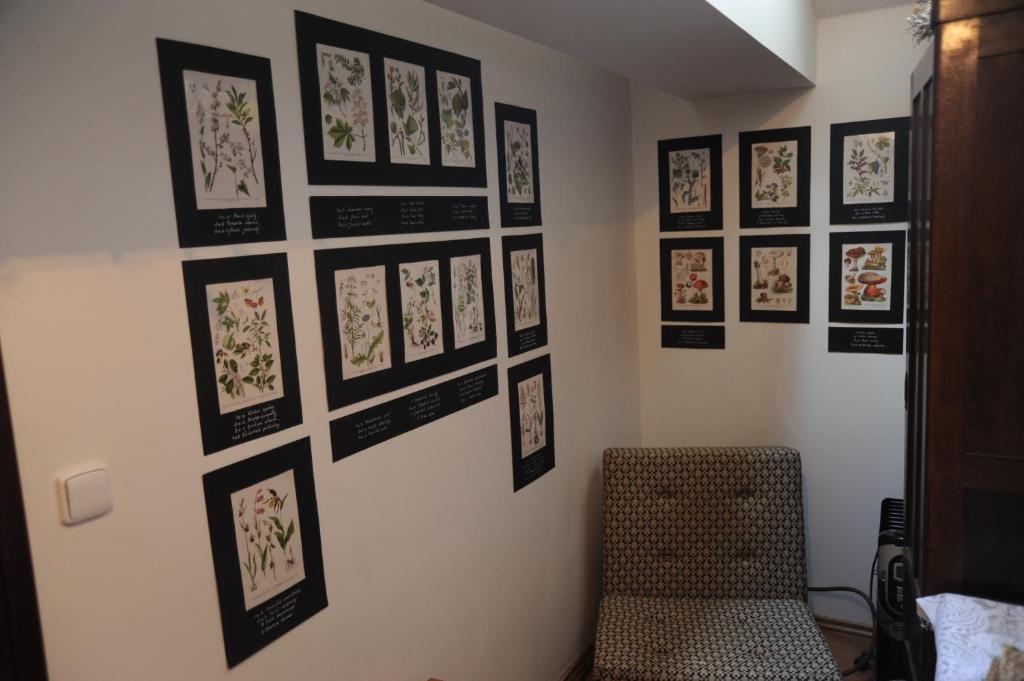Apartmá v pivovaru Genius noci photo 4