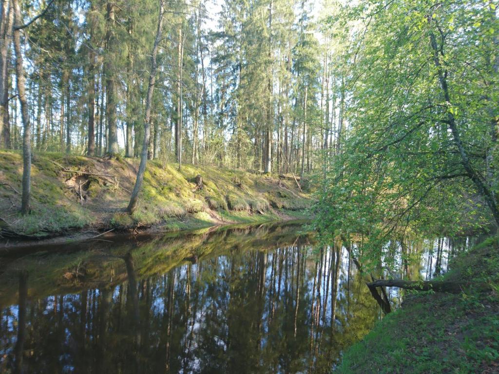 Līčupes photo 3
