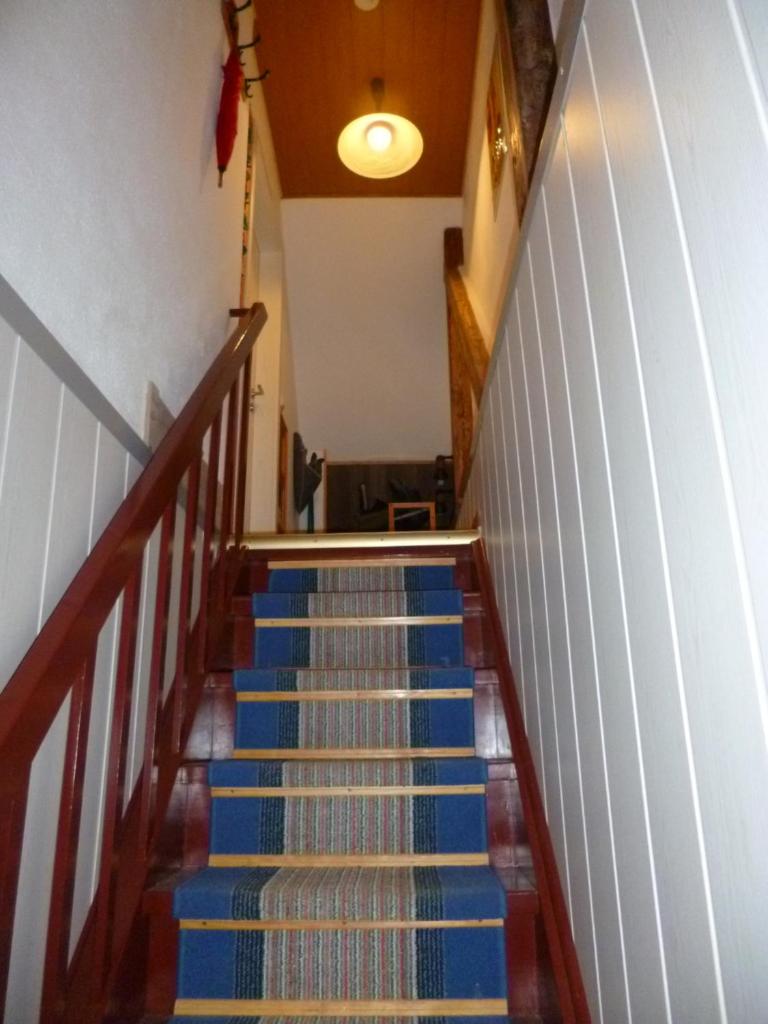 Nordseerex photo 2