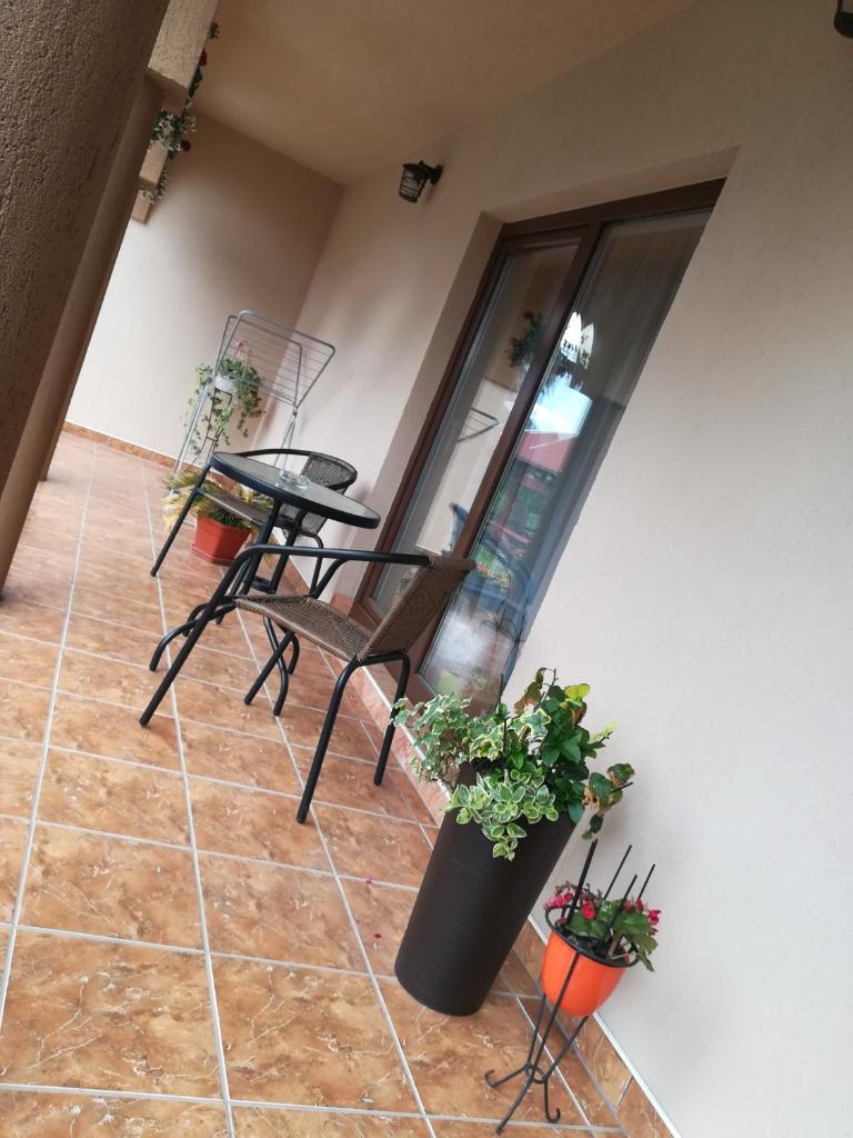 Nárcisz B&B photo 3