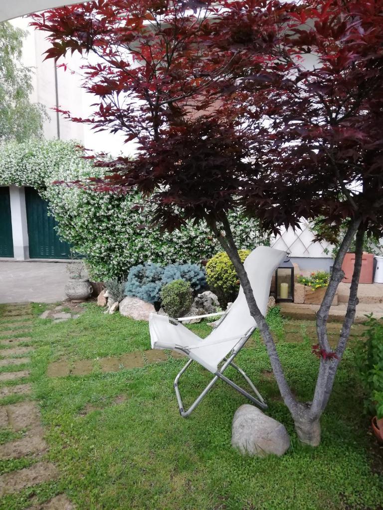 Le Betulle photo 1