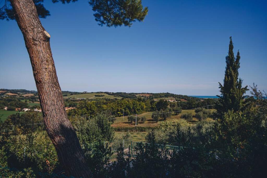 Villa Monte Illuminato photo 4