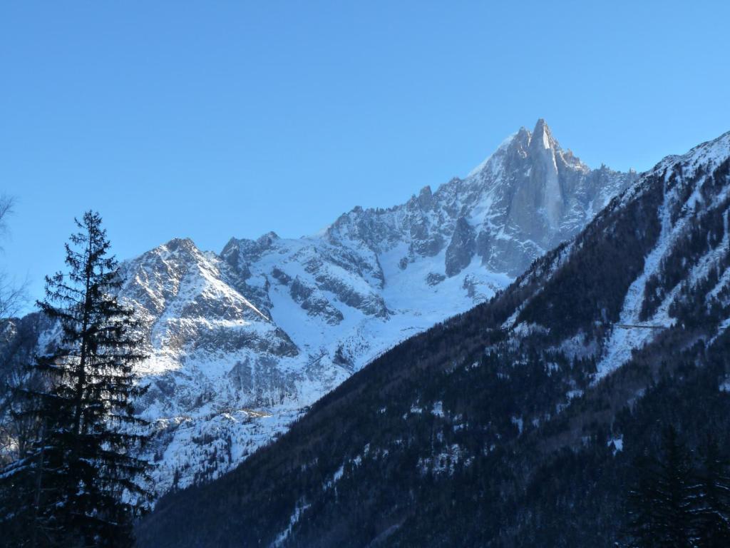 Апартаменты (Апартаменты с видом на горы), Cocon Apartment