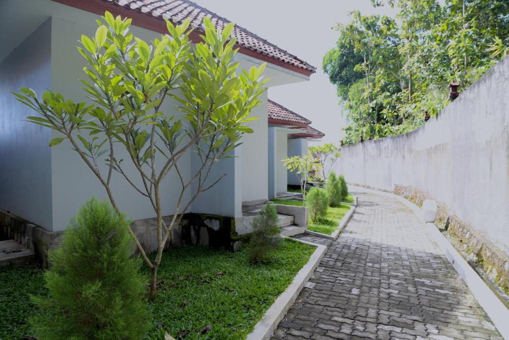 Borobudurhills photo 1