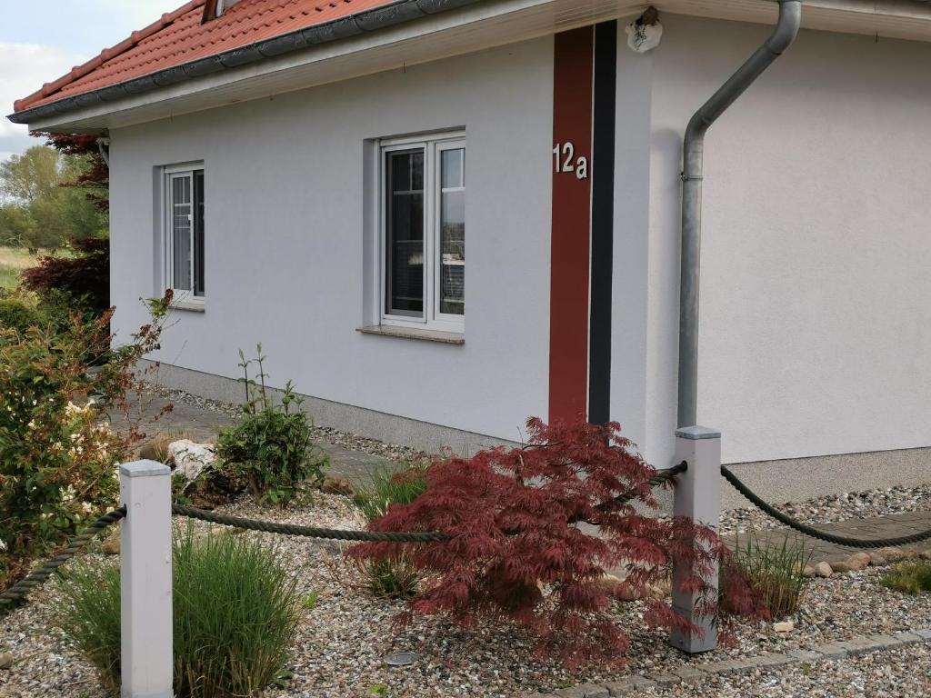 Ferienwohnung "An den Wiesen" photo 1
