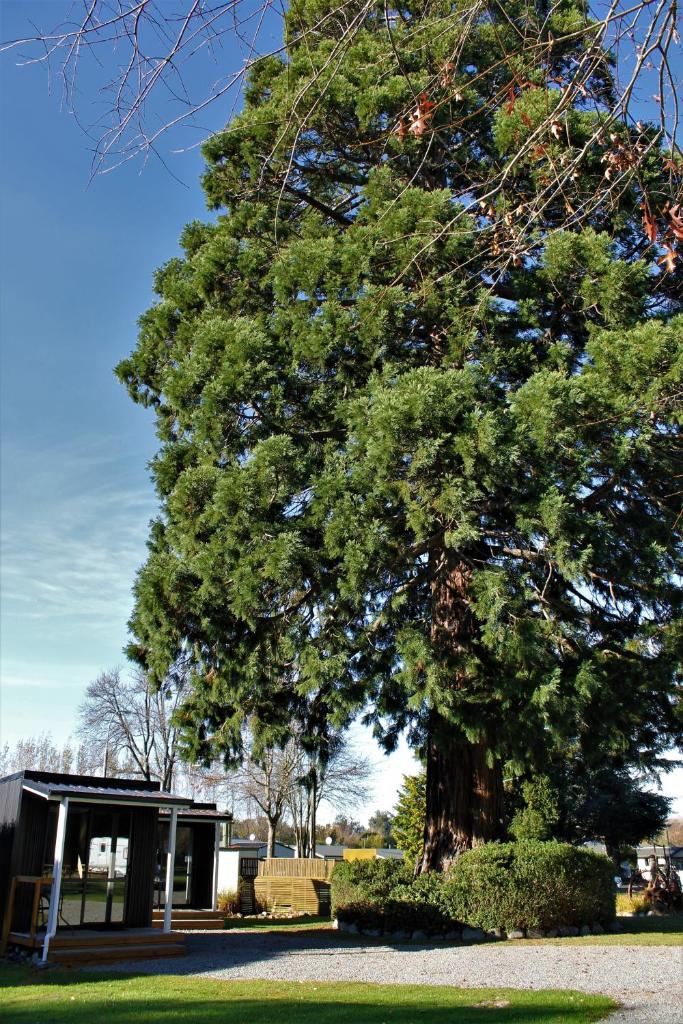 Geraldine TOP 10 Holiday Park photo 3