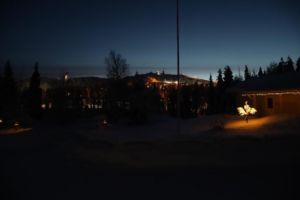 Matkailumaja Heikkala Cottages photo 4