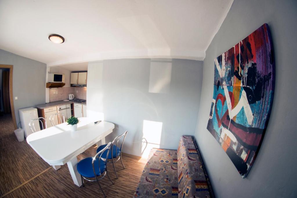 Studia a apartmány U Karla photo 3