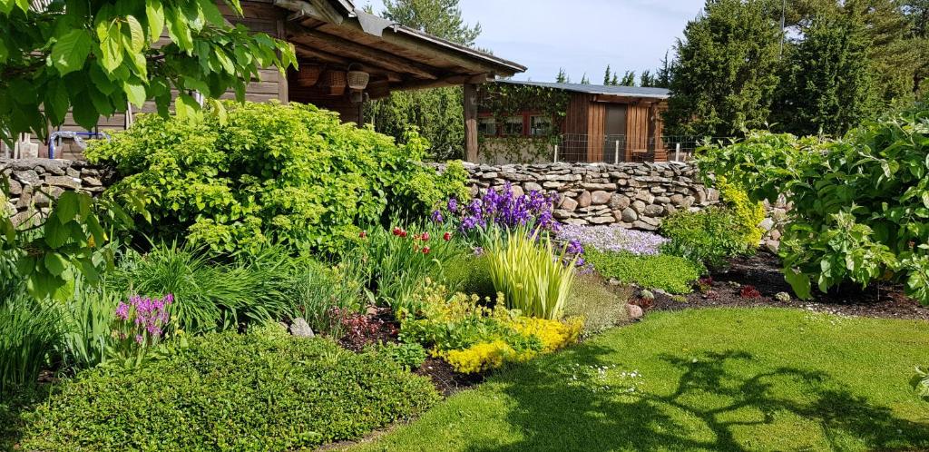 Mardi Farm Stay photo 2