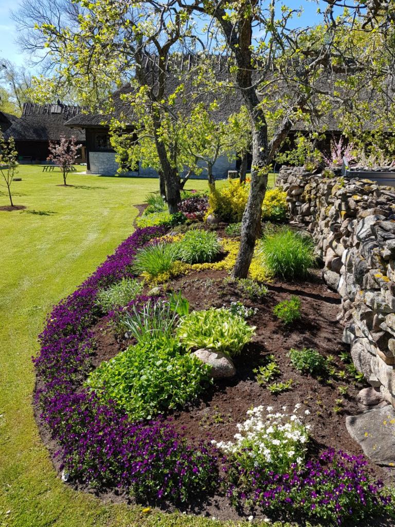 Mardi Farm Stay photo 3