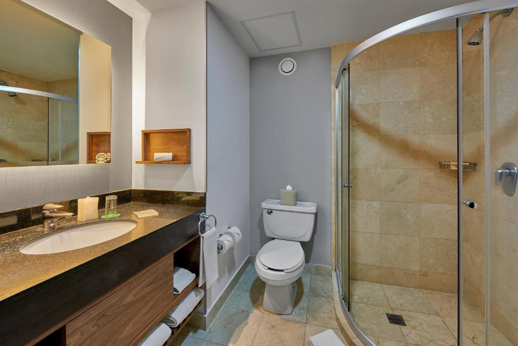 Двухместный (Стандартный номер), Wyndham Garden Mexico City - Polanco