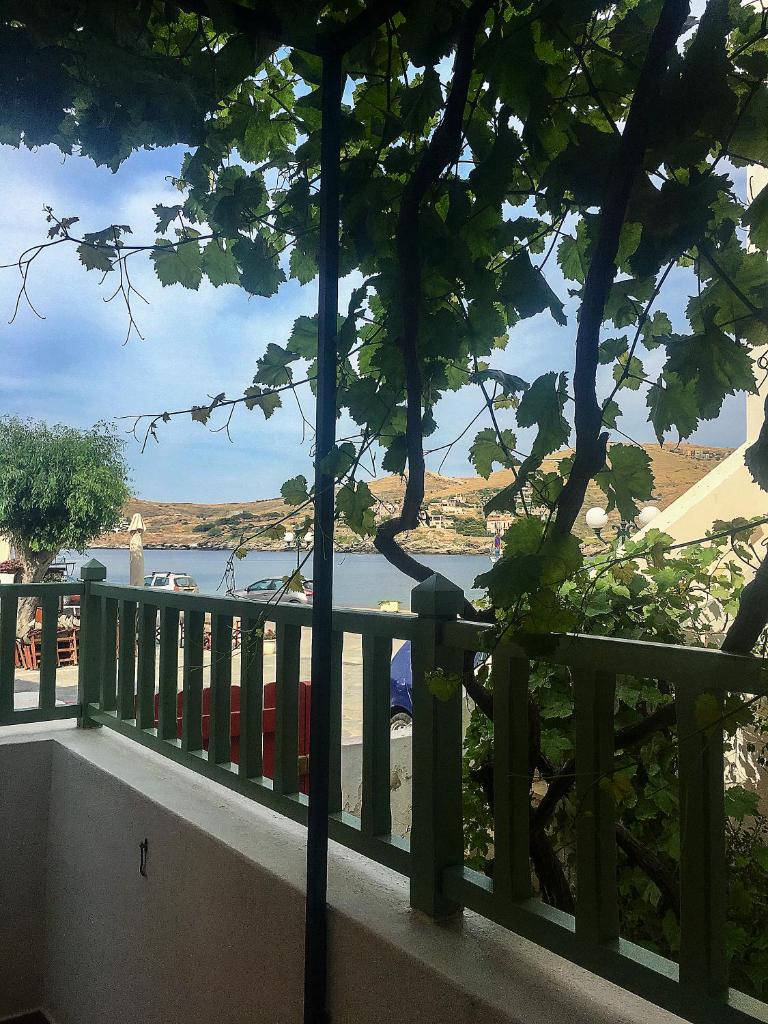 The house in the port photo 2
