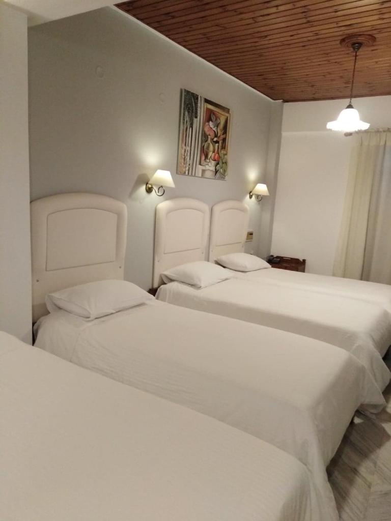 Kouros Hotel photo 1