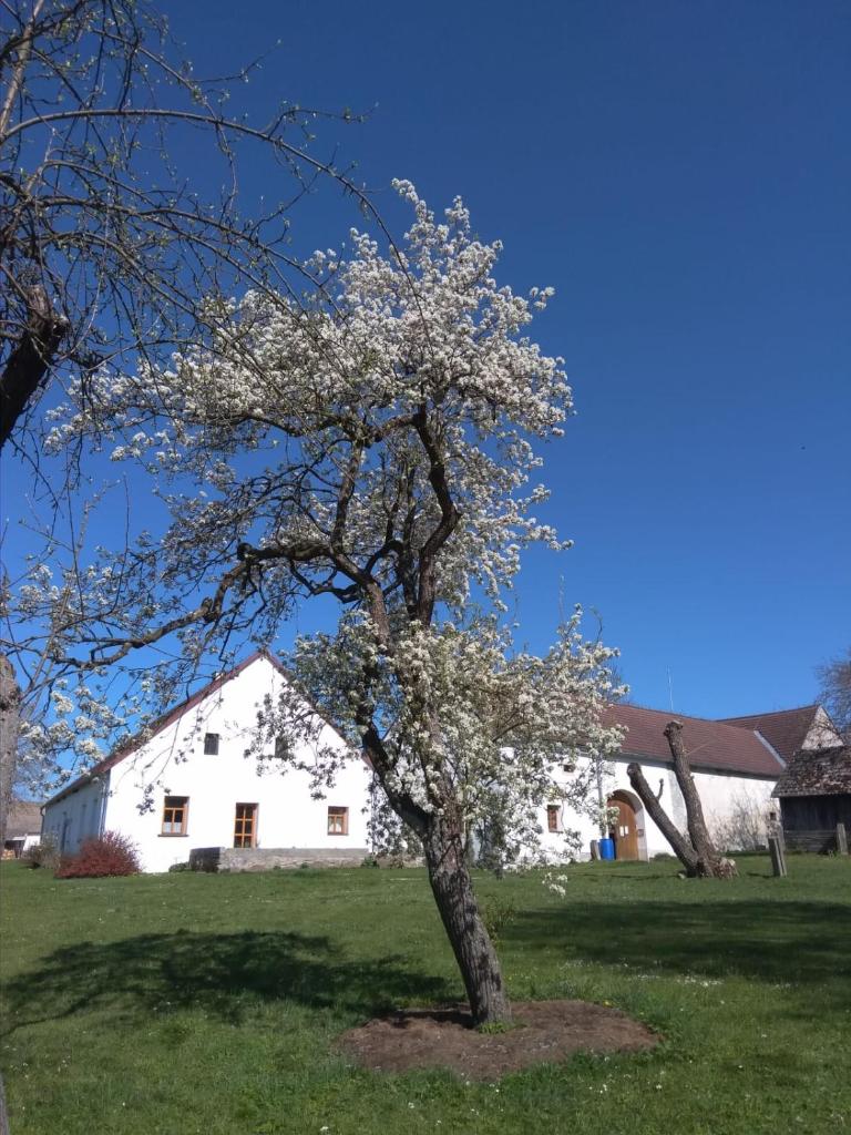 Spejchar Kaclehy photo 1