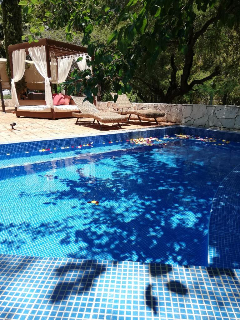 Lila Hotel photo 4