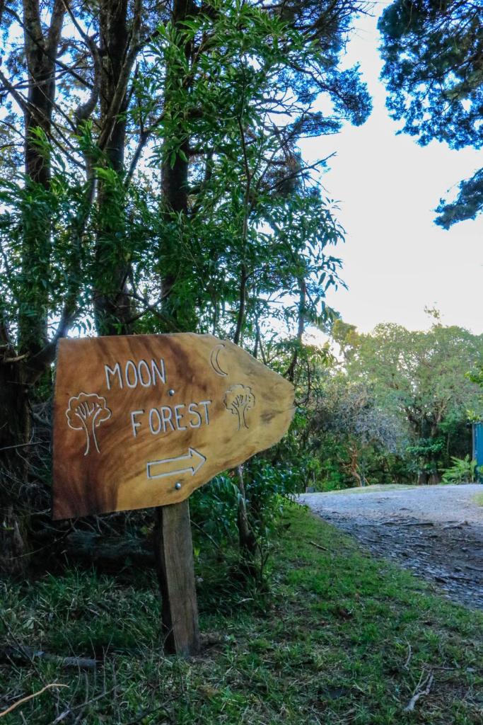 Moon Forest Apartments photo 2