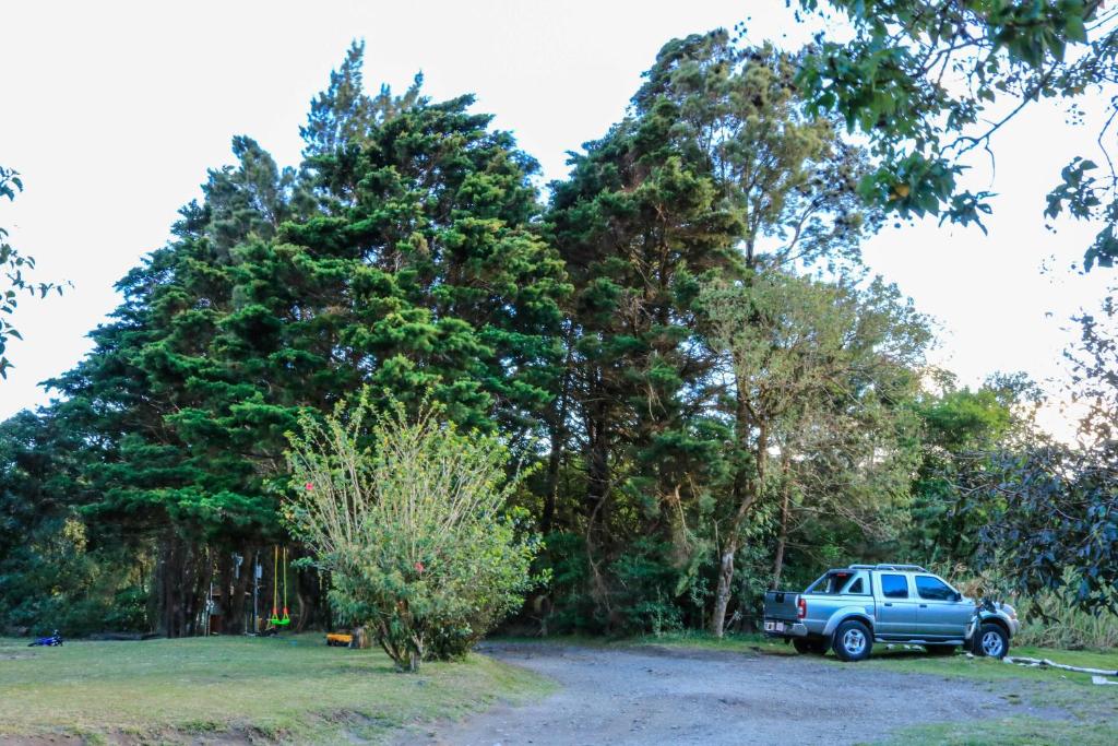 Moon Forest Apartments photo 3