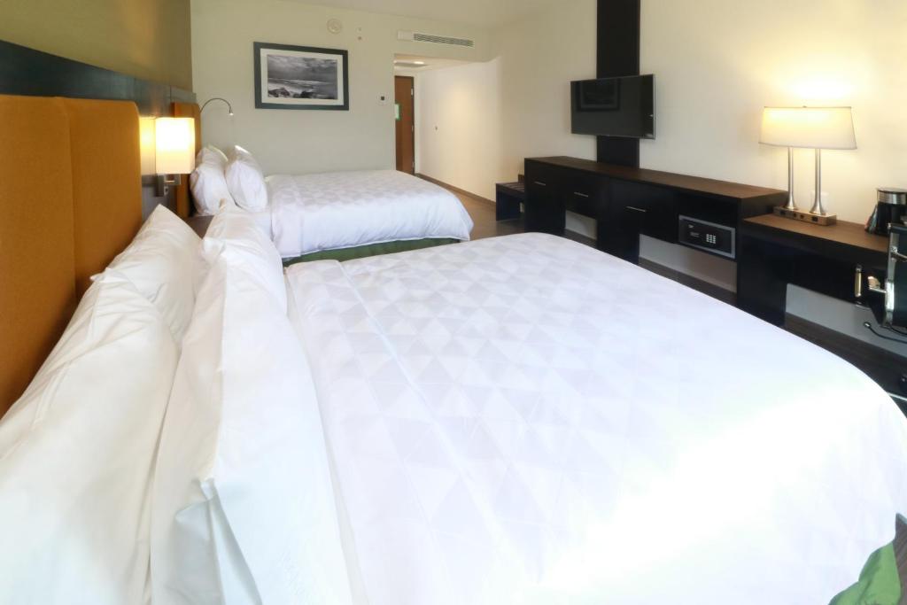 Holiday Inn Tampico-Altamira, an IHG Hotel photo 3
