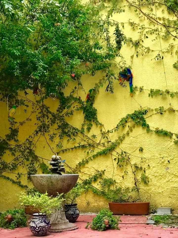 Hostal Tlaquepaque photo 4