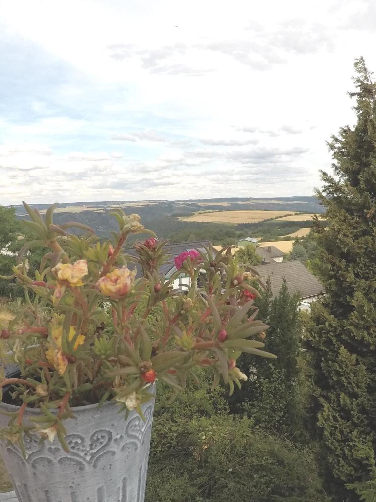 Zum Alten Pfarrhaus photo 3