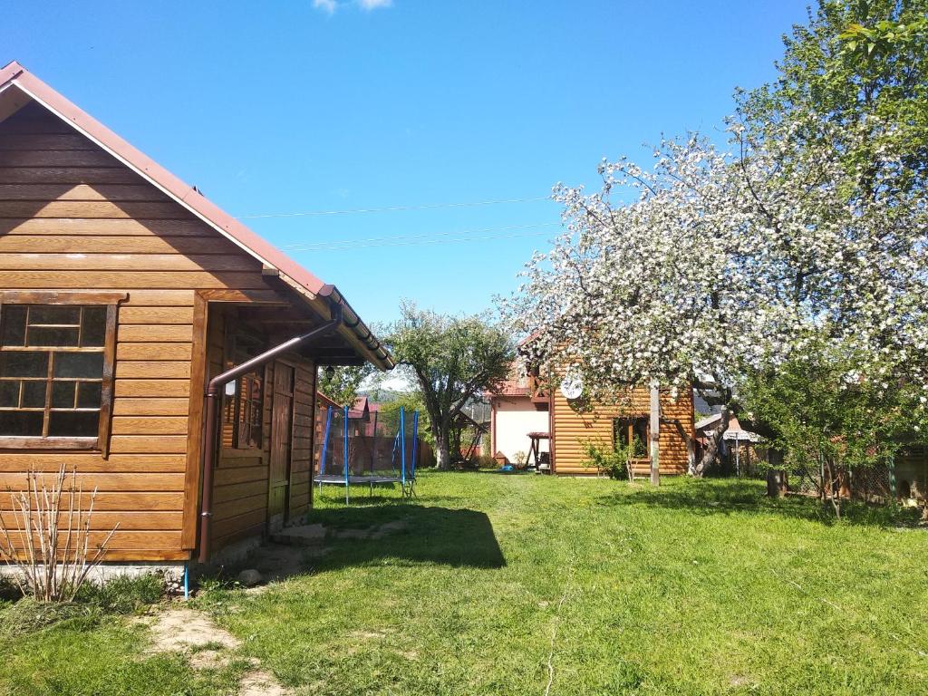 Mandrivnyk photo 4