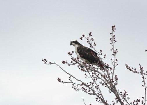 Domaine Henri-Daze photo 1