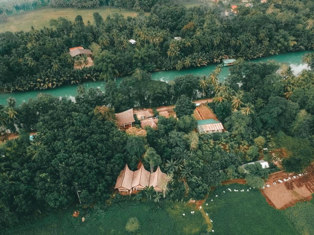 Fox & The Firefly Cottages photo 4