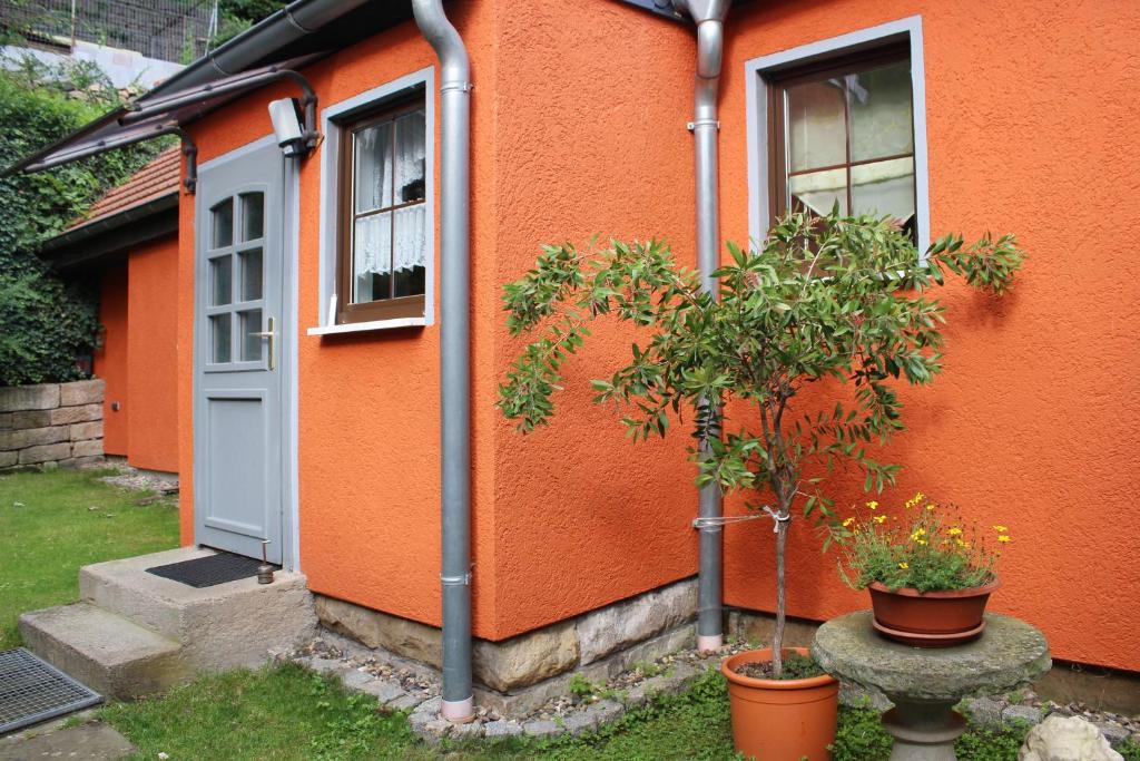 Ferienhaus Franz - an der Elbe, mit großem Garten photo 2