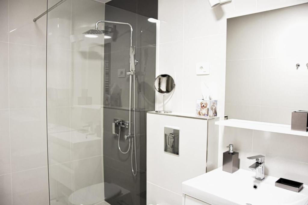 Apartment Nona photo 4