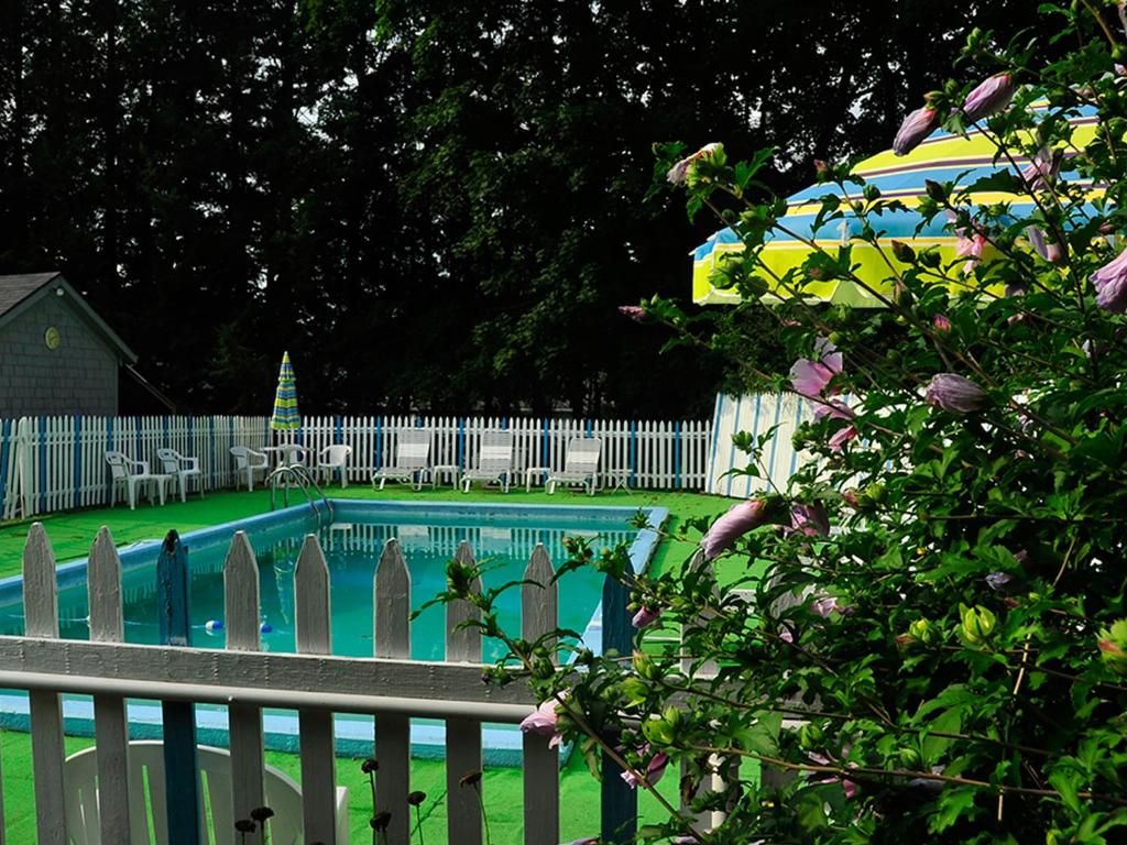 Willows Motel photo 2